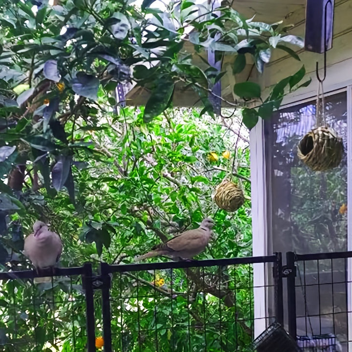 2pcs/3pcs/4pcs Hand Woven Hummingbird Nest House - Perfect for Outdoor Garden and Yard, Ball Shape Design for Comfortable Nesting