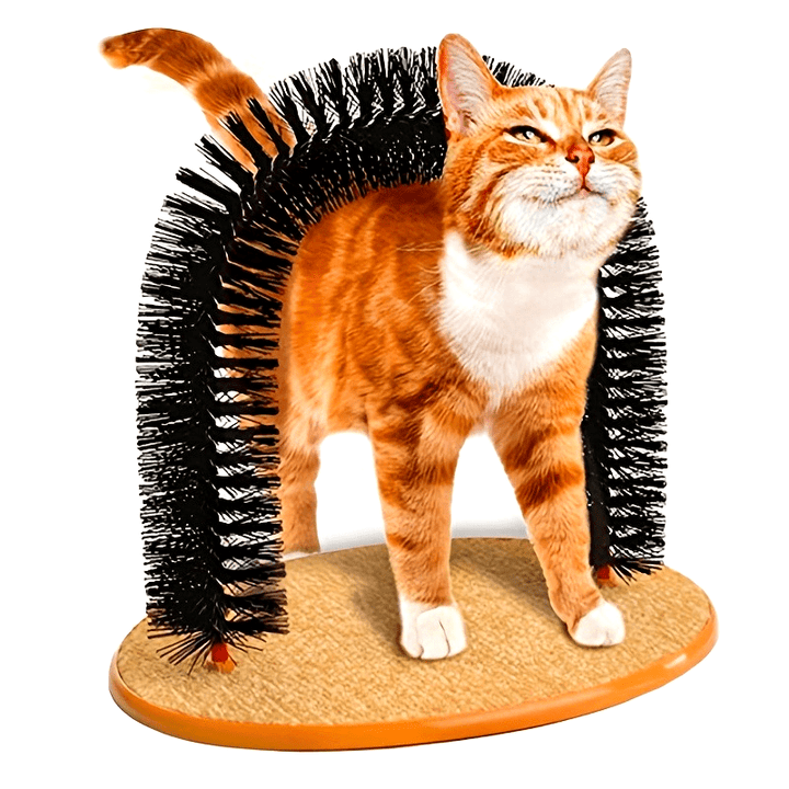 [Self Grooming Cat Arch Toy] Cat Arch Self Grooming And Massage Toy, Multifunctional Cat Hair Brush Cat Scratching Toy For Cats Kittens Interactive Supply