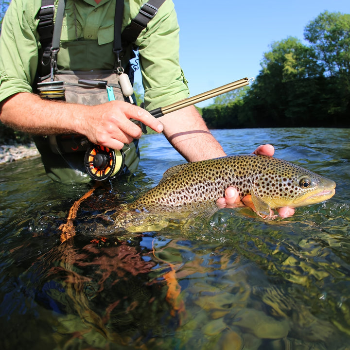 1pc T-shaped Easy Fish Hook Remover - Quick And Painless Tool For Hook Removal
