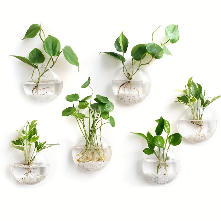 2pcs/ 4pcs/ 6pcs Wall Hanging Glass Terrariums Planter Oblate Flower Vase For Hydroponics Plants Gift, Home Office Living Room Decor