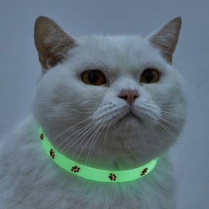 Glow-in-the-Dark Cat Collar with Colorful Paw Print - Adjustable, Reflective Safety Accessory for Nighttime Visibility Cat Collar Glow In The Dark