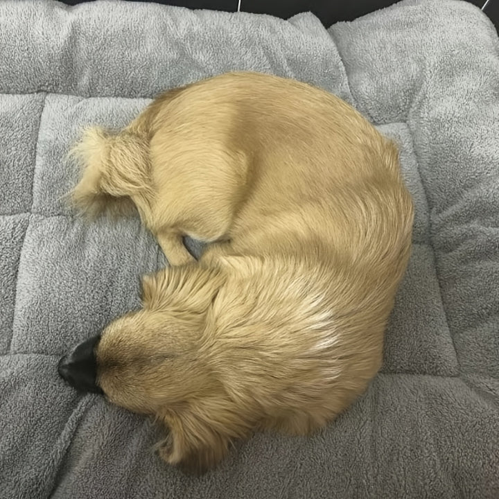 Lit pour animaux en peluche extra doux pour chiens, grande taille, réversible, confort toutes saisons, rempli de fibres de polyester, adapté aux races très petites à grandes jusqu'à 40 kg, forme rectangulaire.