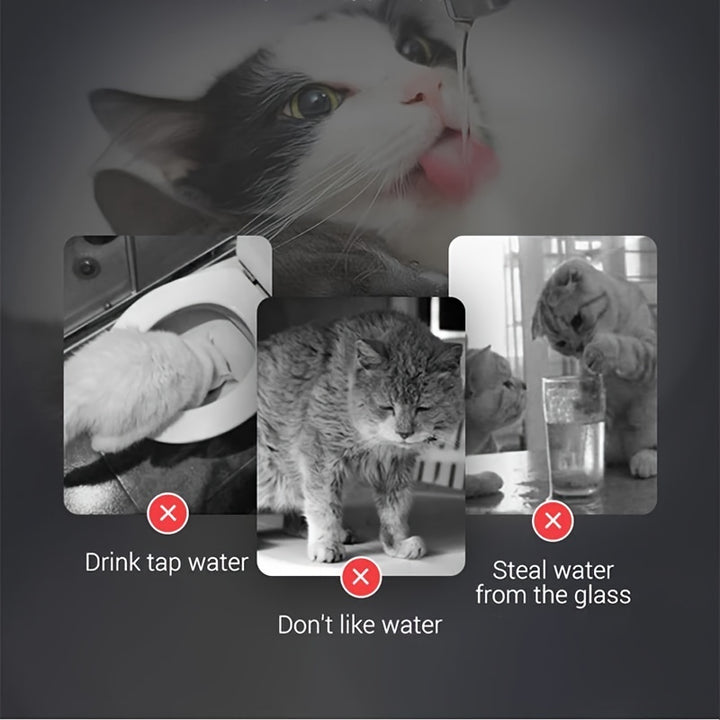 Dispensador de Agua para Gatos Smart de 60.87oz con Grifo, Dispensador de Agua para Perros, Dispensador de Agua Transparente, Alimentador de Filtro de Agua para Mascotas