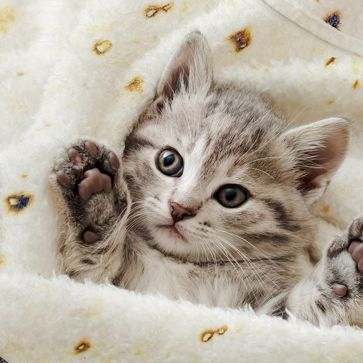 285 GSM Soft Flannel Tortilla Baby Blanket - The Perfect Funny Gift for Baby Showers! Halloween, Christmas Gift