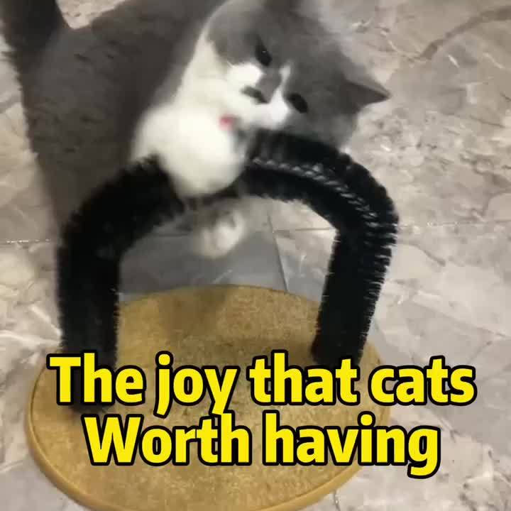 [Self Grooming Cat Arch Toy] Cat Arch Self Grooming And Massage Toy, Multifunctional Cat Hair Brush Cat Scratching Toy For Cats Kittens Interactive Supply