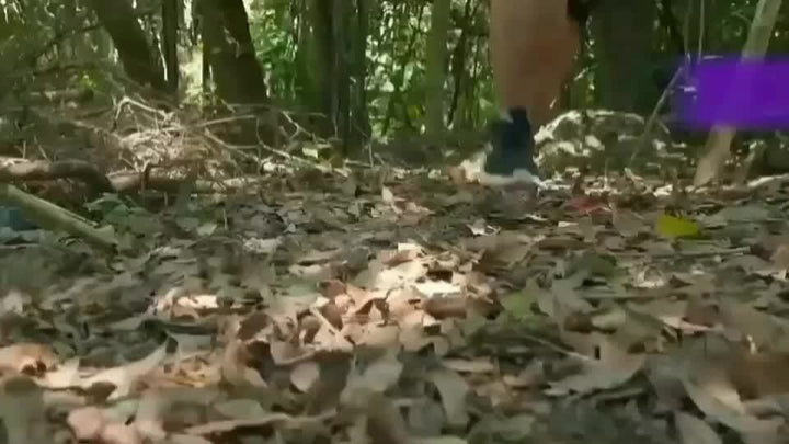 1pc, Portable Solar Power Bank with External Battery Charger and Strong LED Light, 2 USB Charging Ports for Outdoor Camping, Hiking and Emergency Use