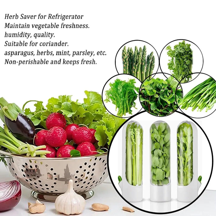 Herb Saver Storage Container Fresh Herb Keeper Vanilla Vegetables Fresh Preservation Bottle for Refrigerator Kitchen Gadgets