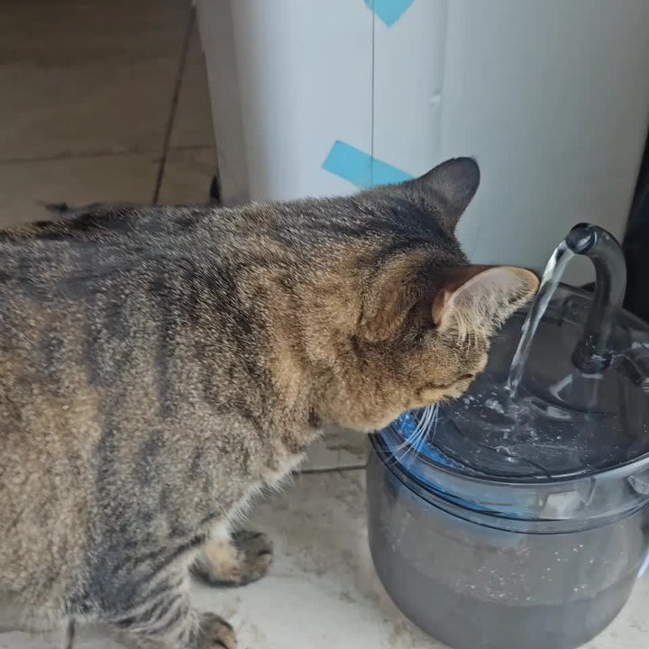 Dispensador de Agua para Gatos Smart de 60.87oz con Grifo, Dispensador de Agua para Perros, Dispensador de Agua Transparente, Alimentador de Filtro de Agua para Mascotas