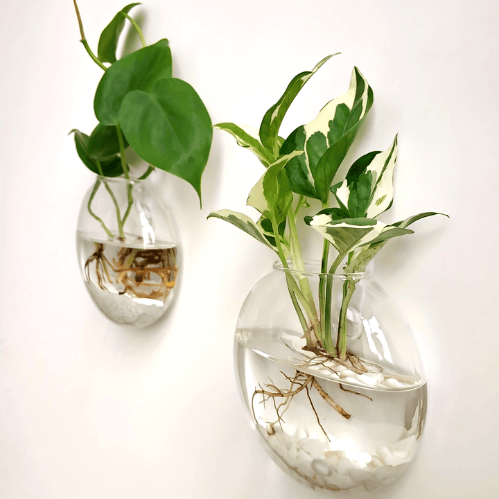 2pcs/ 4pcs/ 6pcs Wall Hanging Glass Terrariums Planter Oblate Flower Vase For Hydroponics Plants Gift, Home Office Living Room Decor
