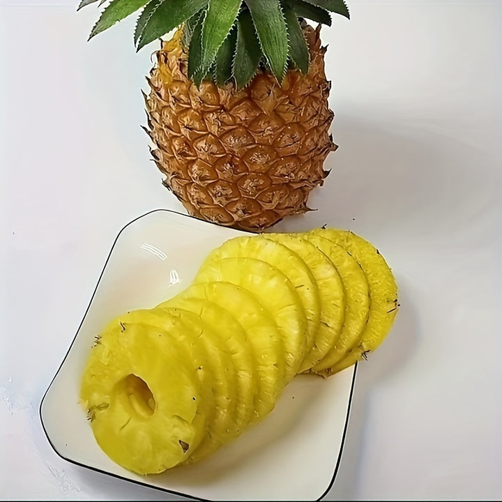 1pc Stainless Steel Pineapple Corer and Slicer, Easy to Use Kitchen Tool for Effortless Pineapple Core Removal and Slicing