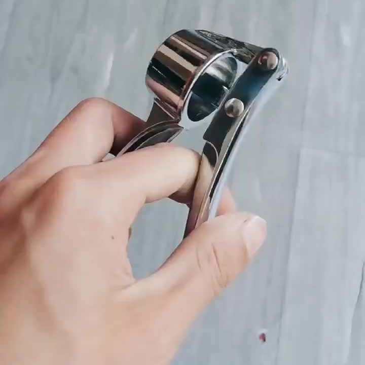 1 Piece Metal Garlic Press, Manually Handheld Crusher for Ginger, Kitchen Tools and Accessories